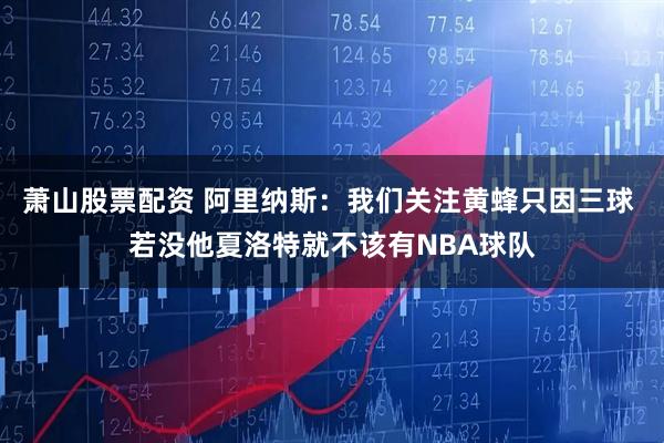 萧山股票配资 阿里纳斯：我们关注黄蜂只因三球 若没他夏洛特就不该有NBA球队